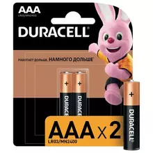 Батарейки комплект 2 шт. Duracell Basic AAA (LR03 24А) алкалиновые мизинчиковые