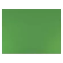 Бумага (картон) для творчества (1 лист) SADIPAL "Sirio" А2+ (500х650 мм.) 240г./м2 зеленый мох