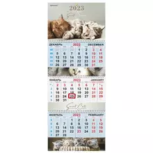 Календарь квартальный на 2023 г. 3 блока, 3 гребня, с бегунком, мелованная бумага, "KITTENS", Brauberg