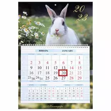 Календарь квартальный с бегунком 2023 г. 1 блок 1 гребень Соло-Люкс "Год Кролика 1" Hatber