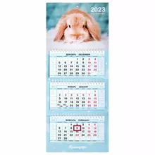 Календарь квартальный с бегунком 2023 г. 3 блока 3 гребня МИНИ "Год Кролика 1" Hatber