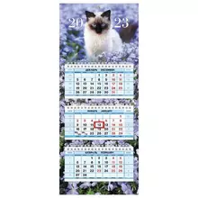Календарь квартальный с бегунком 2023 г. 3 блока 3 гребня МИНИ "Кот круглый год" Hatber