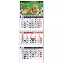 Календарь квартальный с бегунком 2023 г. 3 блока 3 гребня ОФИС "Год Кролика" Hatber