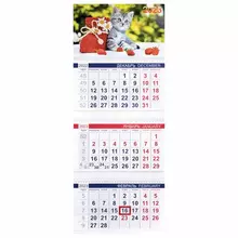 Календарь квартальный с бегунком 2023 г. 3 блока, 3 гребня, ОФИС, "Котенок", Hatber