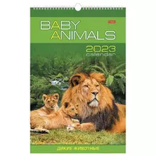 Календарь на гребне с ригелем 2023 г. 30х45 см. ЛЮКС "Animals" Hatber
