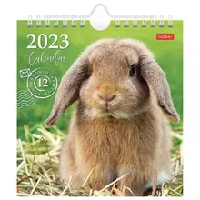 Календарь-домик перекидной на гребне с ригелем 2023 г. 160х170 мм. "Год Кролика" Hatber