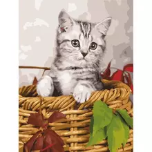 Картина по номерам 40х50 см. Остров cокровищ "Котёнок" на подрамнике акриловые краски 3 кисти