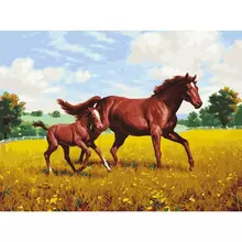 Картина по номерам 40х50 см. Остров cокровищ "Лошади на лугу", на подрамнике, акриловые краски, 3 кисти