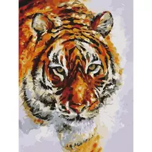 Картина по номерам 40х50 см. Остров cокровищ "Тигр" на подрамнике акриловые краски 3 кисти