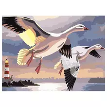 Картина по номерам А3 Остров cокровищ "ГУСИ" с акриловыми красками картон кисть