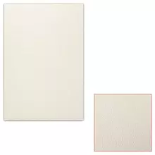 Картон белый грунтованный для масляной живописи, 25х35 см. односторонний, толщина 1,25 мм. масляный грунт