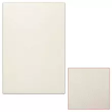 Картон белый грунтованный для масляной живописи, 35х50 см. односторонний, толщина 1,25 мм. масляный грунт