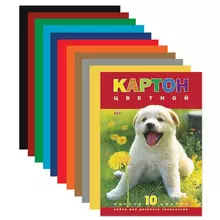 Картон цветной А4 мелованный 10 листов 10 цветов в папке Hatber VK 195х290 мм. "белый щенок"