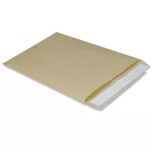 Конверт-пакет В4 плоский (250х353 мм.) до 140 листов, крафт-бумага, отрывная полоса