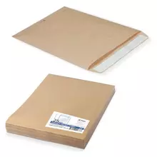 Конверт-пакеты Е4+ плоские (300х400 мм.) до 300 листов, крафт-бумага, отрывная полоса, комплект 25 шт.