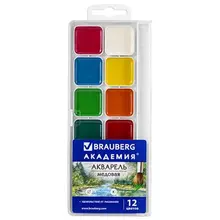 Краски акварельные Brauberg "Академия" 12 цветов медовые квадратные кюветы пластиковый пенал