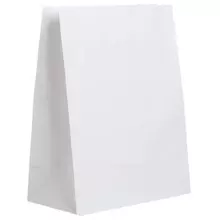 Крафт пакет бумажный белый 22х12х29 см. плотность 65г./м2