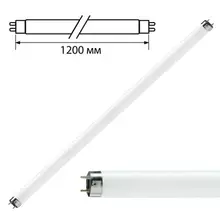 Лампа люминесцентная Philips TL-D 36W/33-640, 36 Вт, цоколь G13, в виде трубки 120 см.