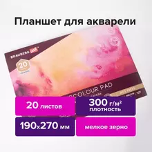 Папка для акварели/планшет 300г./м2 190х270 мм. склейка мелкое зерно 20 л. Brauberg Art Premiere