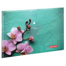 Папка-конверт с кнопкой Brauberg "FLOWER" А4 160 мкм. до 100 листов цветная печать