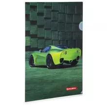 Папка-уголок Brauberg "SPORT CAR" А4 150 мкм. цветная печать