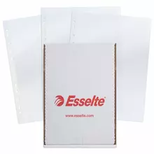 Папки-файлы перфорированные А4 ESSELTE "Standard" комплект 100 шт. глянцевые 55 мкм.