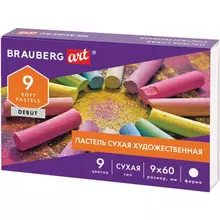 Пастель сухая художественная Brauberg Art Debut 9 цветов круглое сечение