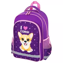 Рюкзак Пифагор SCHOOL для начальной школы "I love corgi" 38x28х14 см.