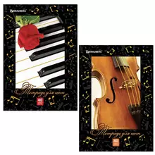 Тетрадь для нот А4, 40 л. Brauberg, обложка мелованный картон, вертикальная, 2 вида
