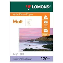 Фотобумага матовая, A3, 170г./м2, двусторонняя, 100 листов, Lomond