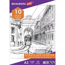 Папка для рисования большого формата А3, 10 л. 160г./м2, Brauberg, 297х420 мм. "Ночной город" 