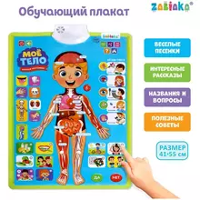 Говорящий плакат ZABIAKA "Изучаем анатомию. Мое тело" пакет