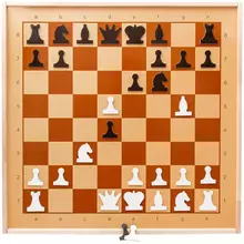 Шахматы настенные демонстрационные Десятое королевство магнитные поле 70*70 см