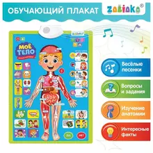 Плакат детский музыкальный обучающий "Изучаем анатомию: Моё тело" ZABIAKA