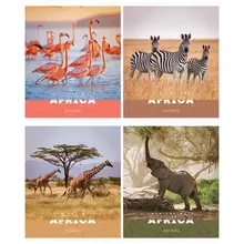 Тетрадь 96 л. А5 клетка ArtSpace "Животные. Nature of Africa" суперэконом