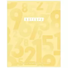 Тетрадь предметная 48 л. BG "Ритмы" - Алгебра, пантонная печать, матовая ламинация, выб. лак, 70г./м2