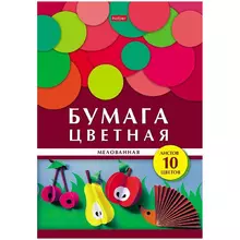 Цветная бумага мелованная А4 Hatber 10 л. 10 цв. в папке "Геометрия цвета. Ежик"