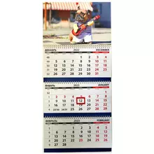 Календарь квартальный 3 бл. на 3 гр. на подложке Грейт Принт "Трио" - Собака гитарист, с бегунком, 2023 г