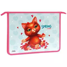 Папка для тетрадей 1 отделение А4 ArtSpace "Spring Cat" пластик на молнии