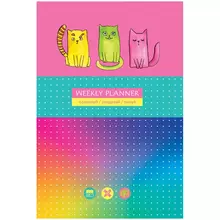Записная книжка А5 80 л. BG "Яркие коты" матовая ламинация выб. лак блок в точку
