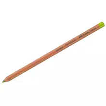 пастельный карандаш Faber-Castell "Pitt Pastel" цвет 170 майская зелень