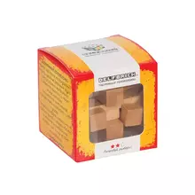 Игра-головоломка деревянная DELFBRICK DLS-02 "Занимательный куб" 12 элементов