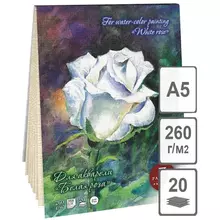 Планшет для акварели, 20 л. А5 Лилия Холдинг "Белая роза", 260г./м2, лен палевый