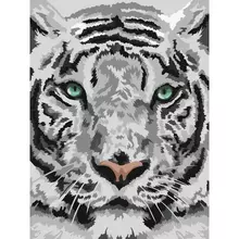Картина по номерам на картоне Три Совы "Бенгальский тигр" 30*40 с акриловыми красками и кистями