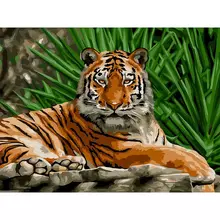 Картина по номерам на картоне Три Совы "Тигр" 30*40 с акриловыми красками и кистями