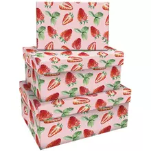 Набор прямоугольных коробок 3в1 Meshu "Strawberry" (19*12*75-15*10*5 см.)