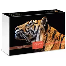Пазл 500 эл. Hatber Premium "Legend Art Series. Взгляд тигра" подарочная коробка + Постер