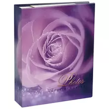 Фотоальбом 304 фото 10*15 см. ArtSpace "Purple rose" ПП карман