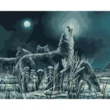 Картина по номерам на холсте Три Совы "Ночная охота" 40*50 с акриловыми красками и кистями