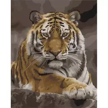 Картина по номерам на холсте Три Совы "Тигриная стать" 40*50 с акриловыми красками и кистями